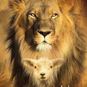 Meet your Posher, Olga